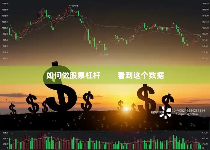 如何做股票杠杆        看到这个数据