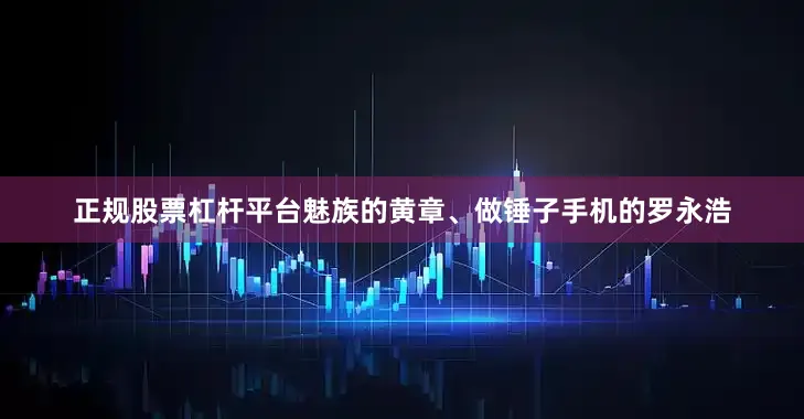正规股票杠杆平台魅族的黄章、做锤子手机的罗永浩