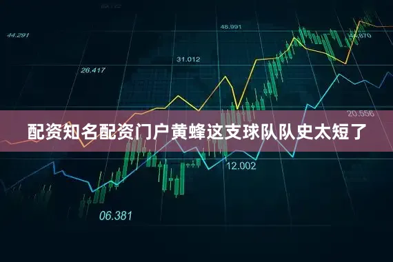 配资知名配资门户黄蜂这支球队队史太短了